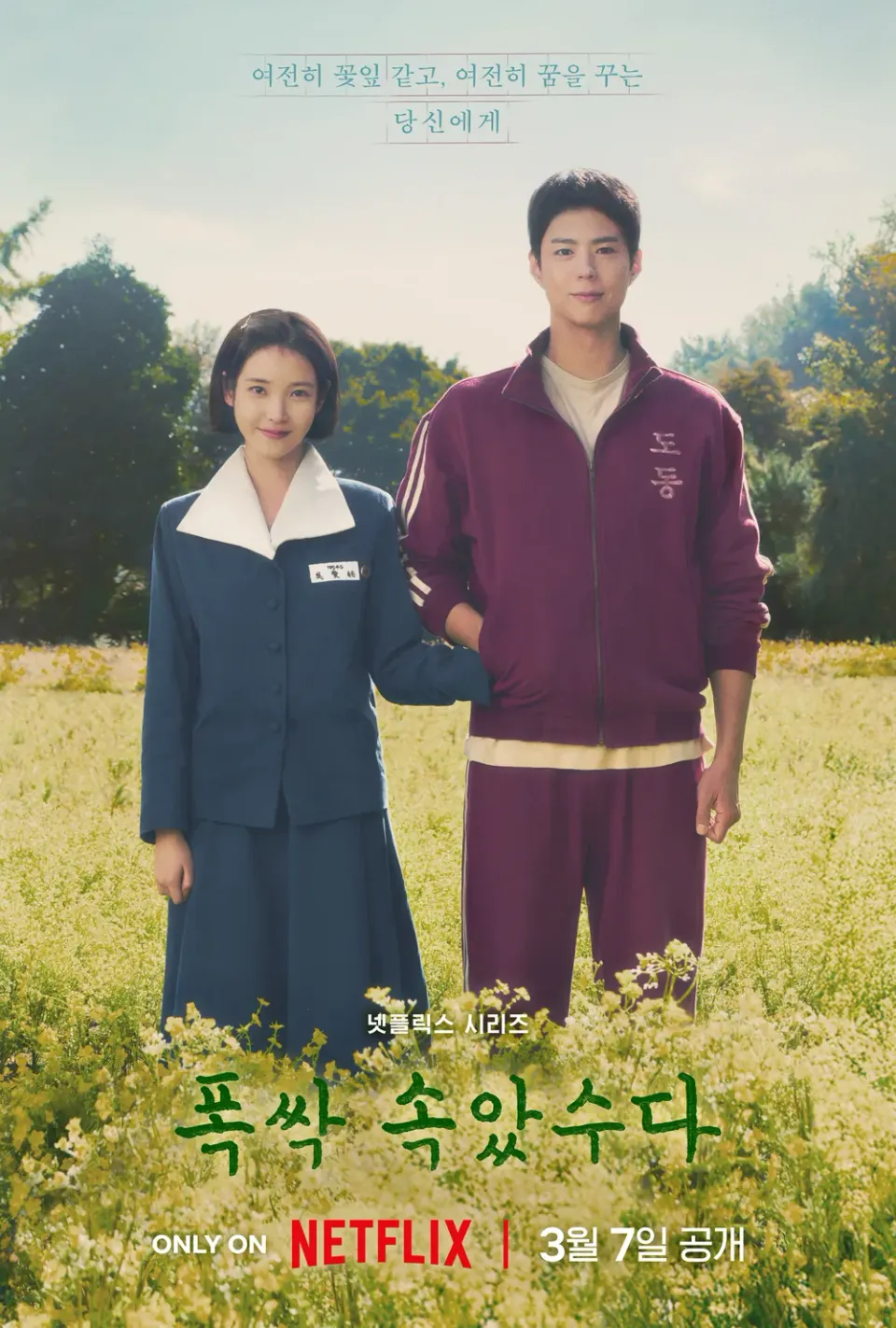 제주 바다 위, 세월을 건넌 사랑의 이야기를 그리다. 넷플릭스 드라마 '폭싹 속았수다(When Life Gives You Tangerines, 2025)' 리뷰
